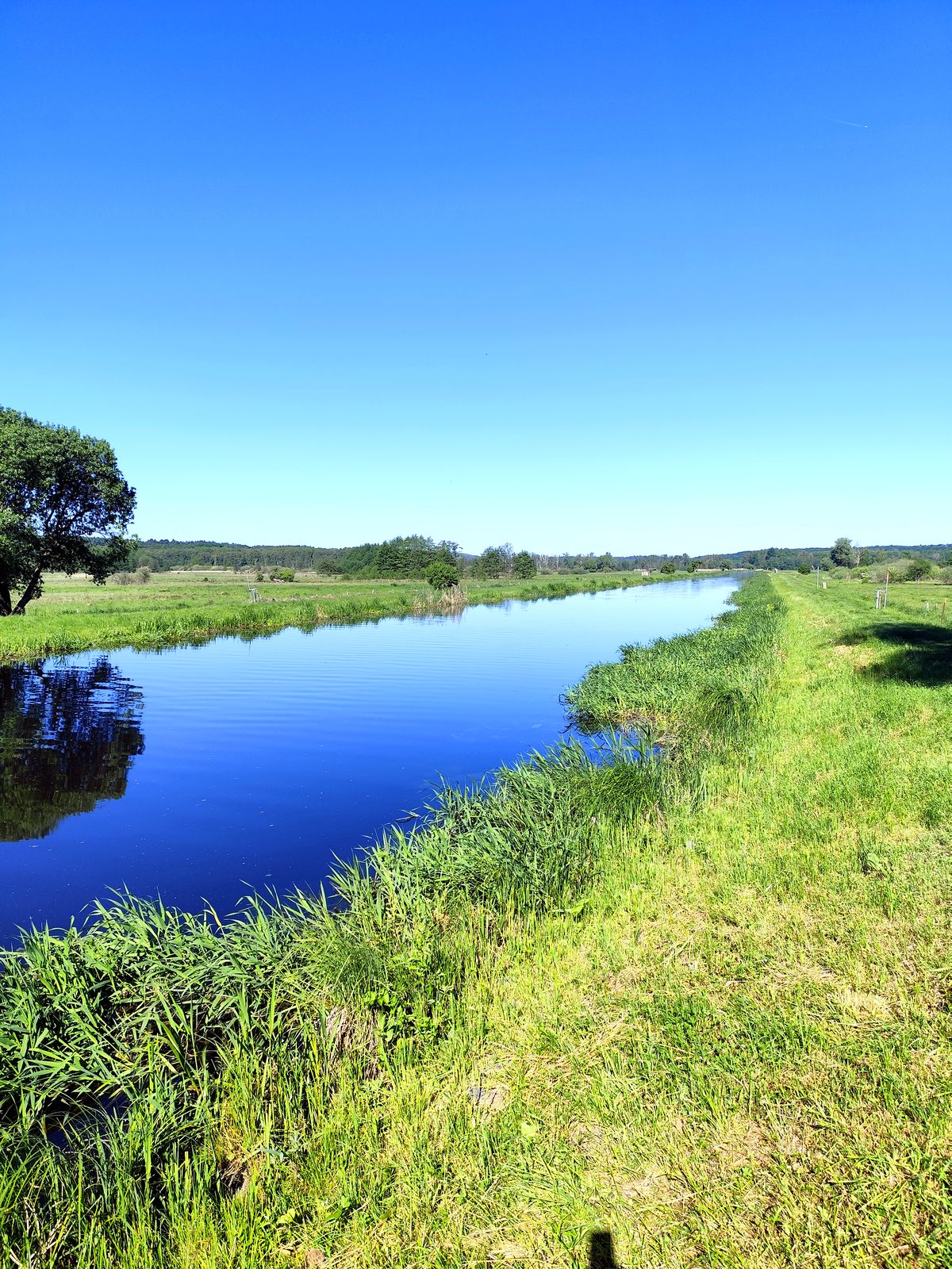 Foto vom Oderbruch-Höhenweg 14