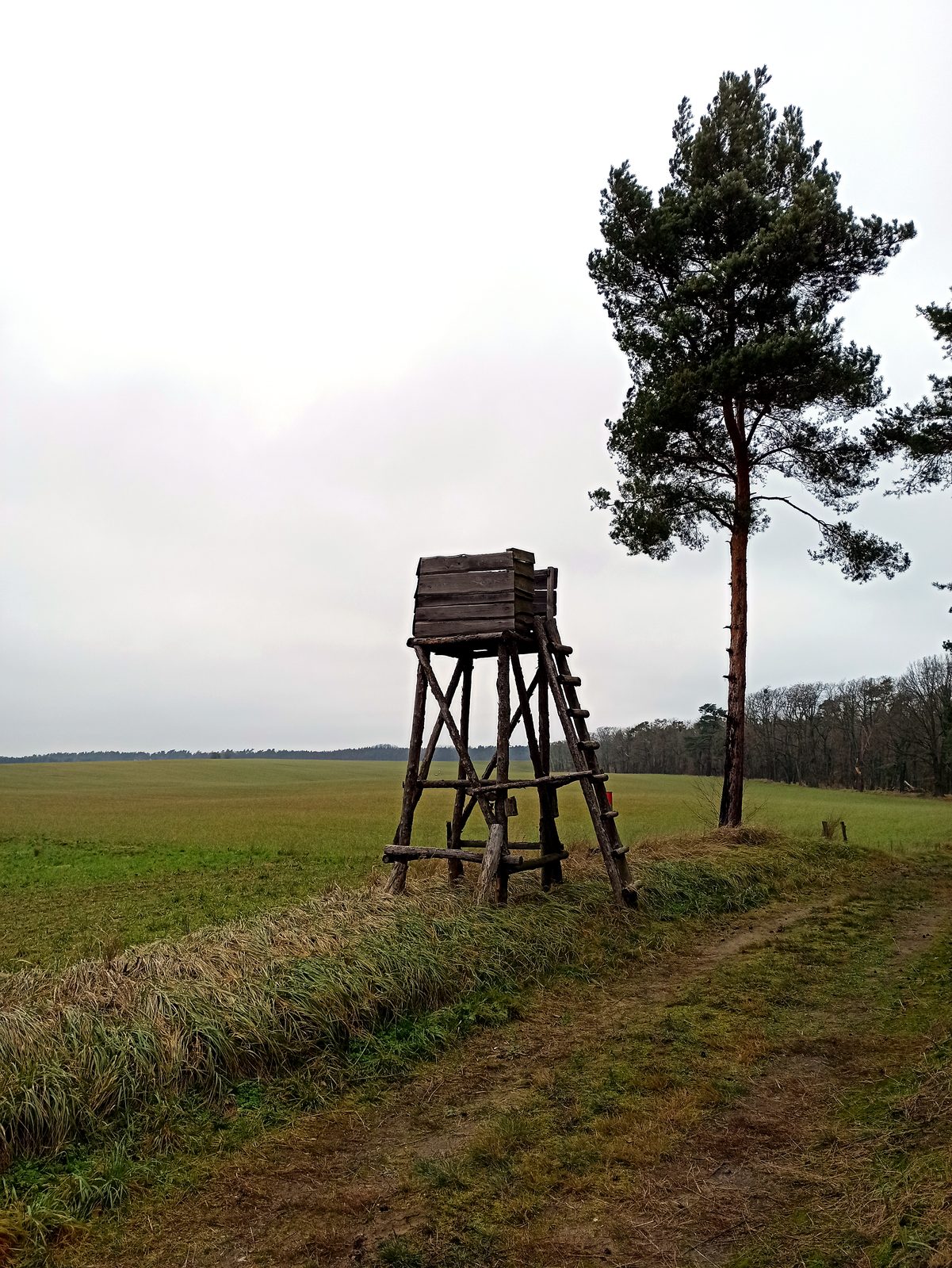 Foto vom Oderbruch-Höhenweg 23