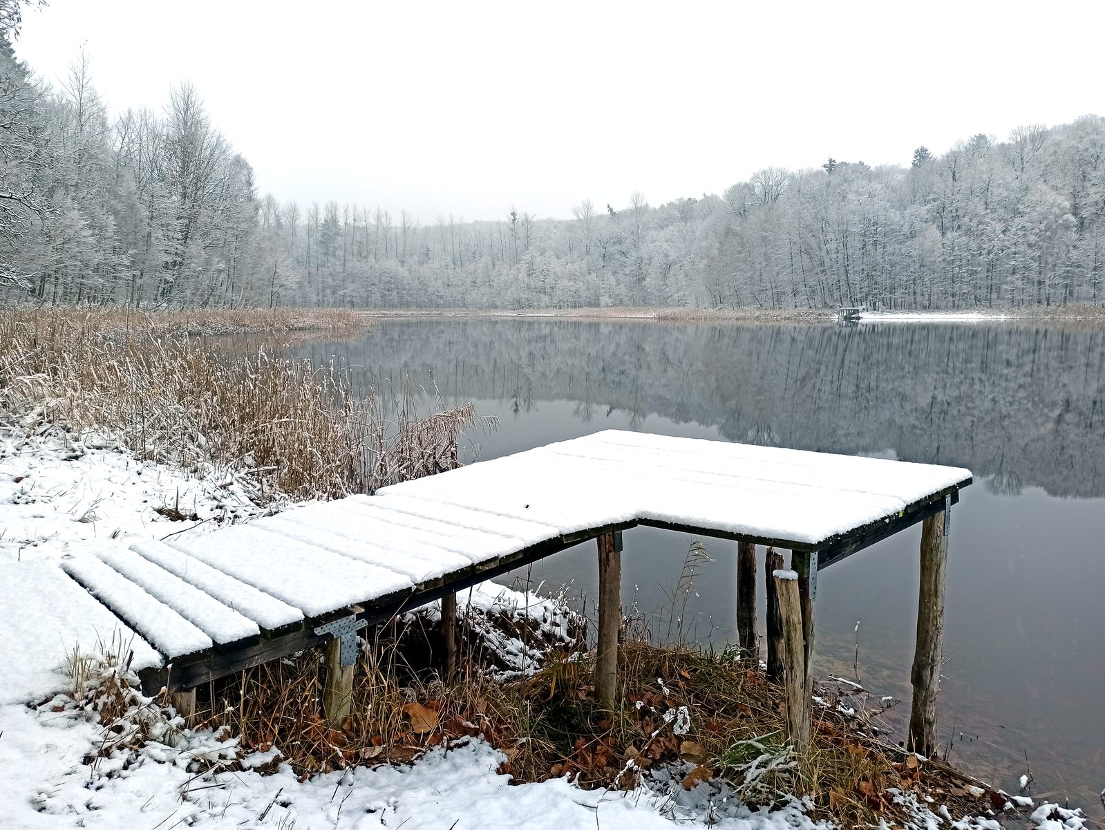 Foto vom Oderbruch-Höhenweg 25