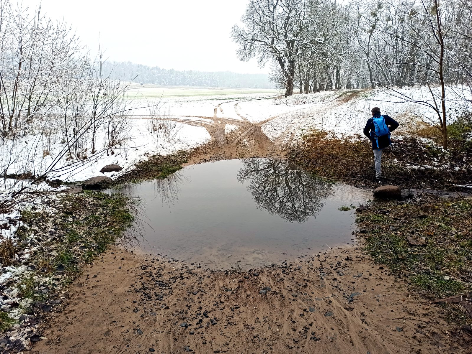 Foto vom Oderbruch-Höhenweg 27