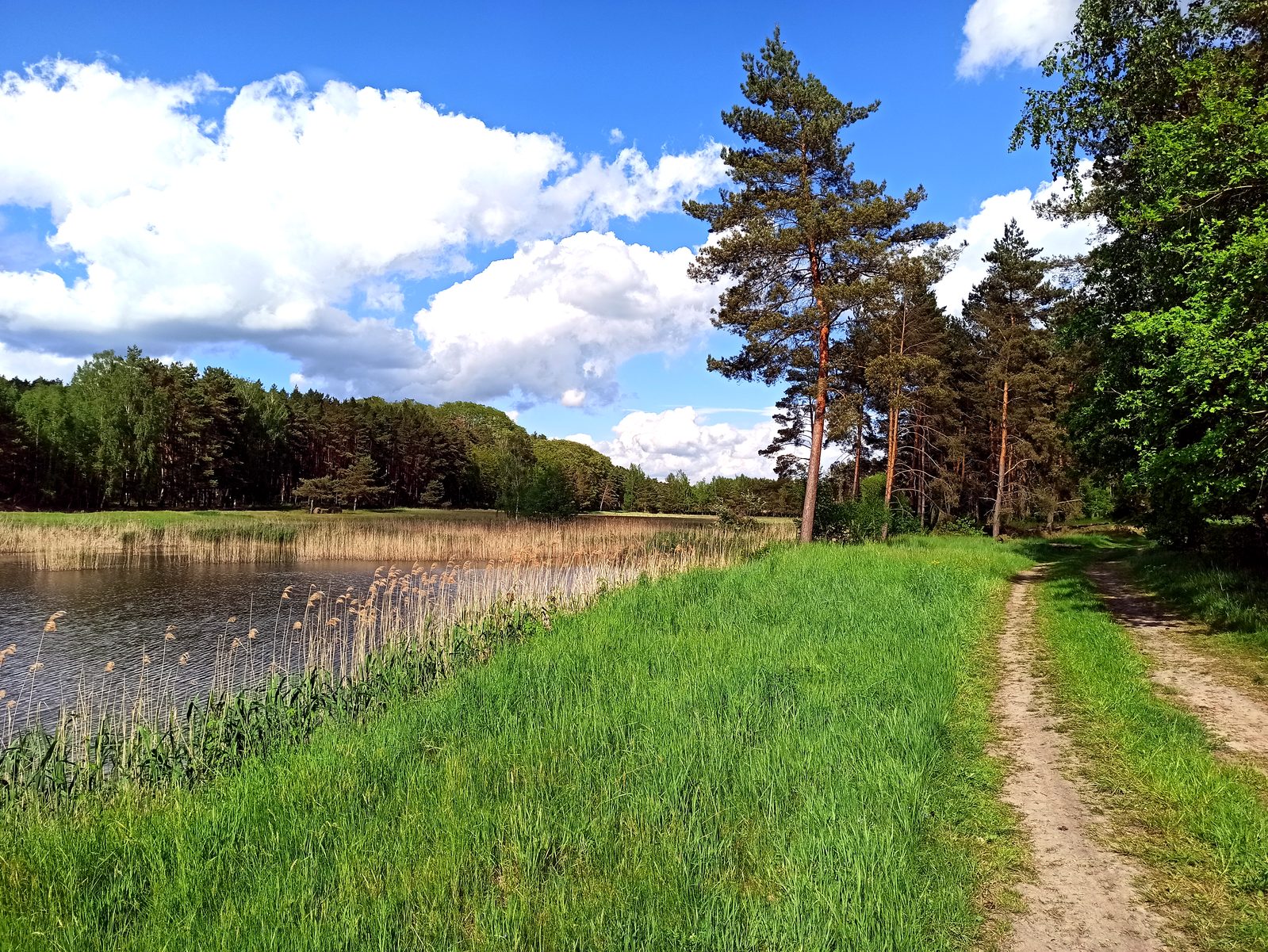 Foto vom Oderbruch-Höhenweg 28