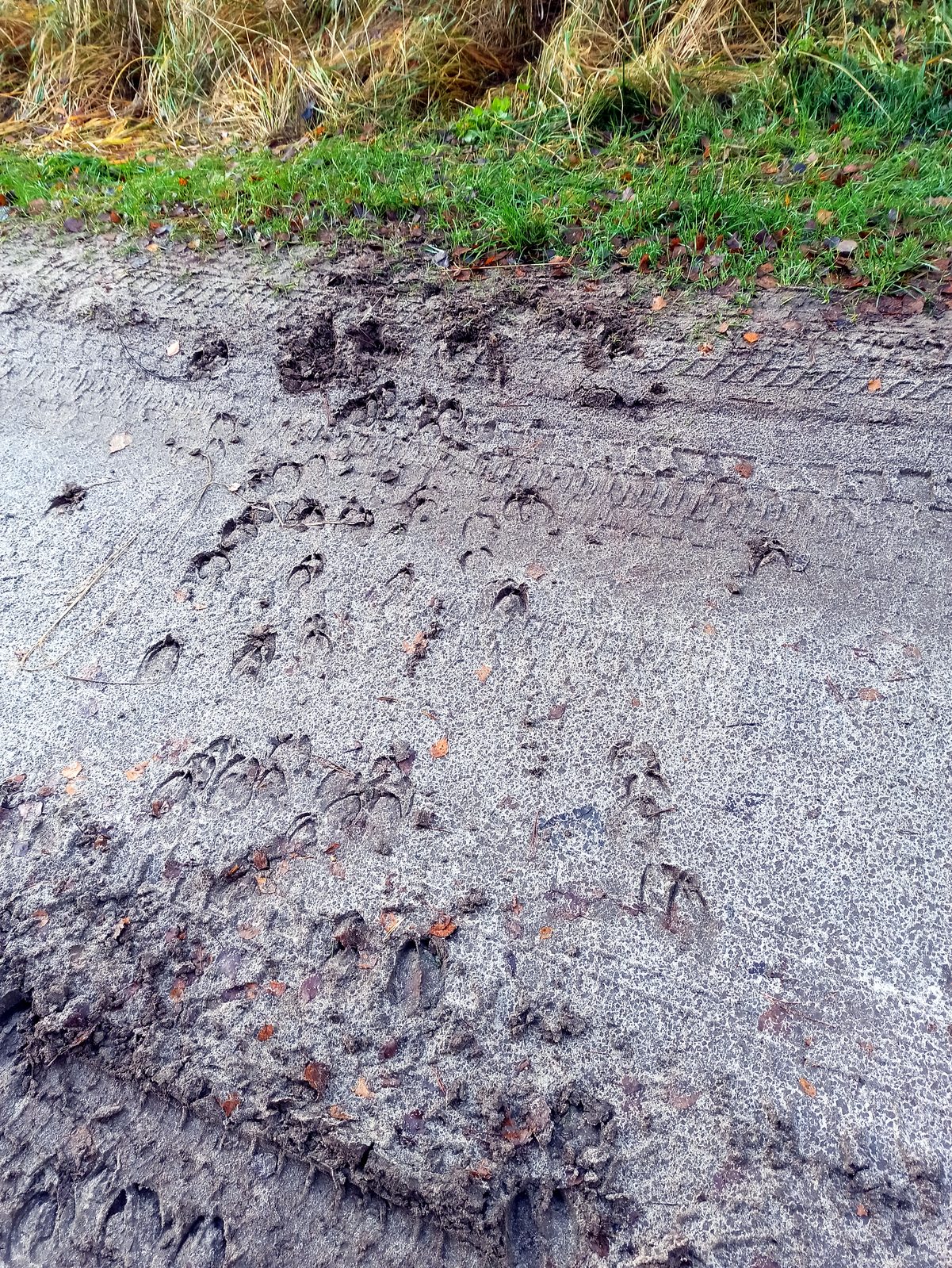 Foto vom Oderbruch-Höhenweg 36