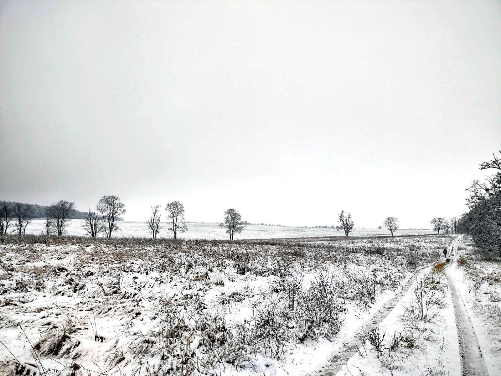 Foto vom Oderbruch-Höhenweg 37
